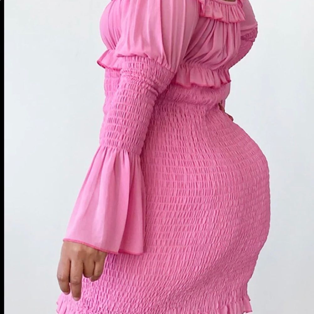 Chiffon Shirred Bodycon Dress - Picture 10 of 10